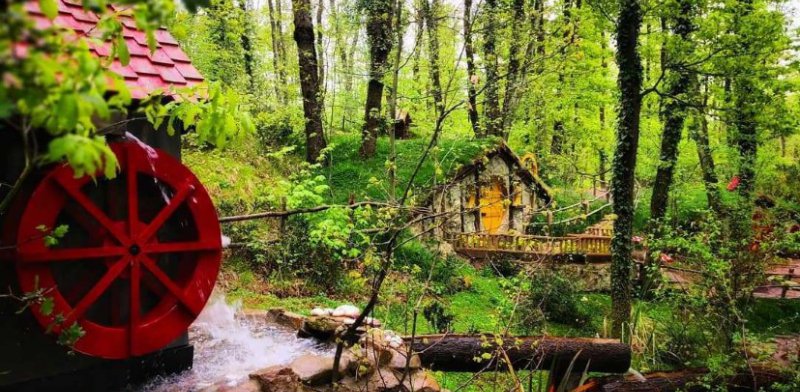 Sapanca Maşukiye Ormanya Turu