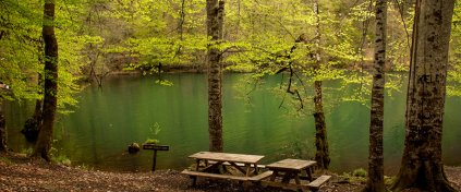 Yeni Nesil Tatil - Karnaval Tour - Otel ve Tur Rezervasyonu