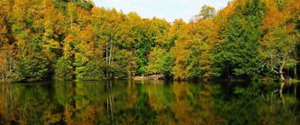 Yeni Nesil Tatil - Karnaval Tour - Otel ve Tur Rezervasyonu