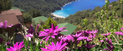 Yeni Nesil Tatil - Karnaval Tour - Otel ve Tur Rezervasyonu