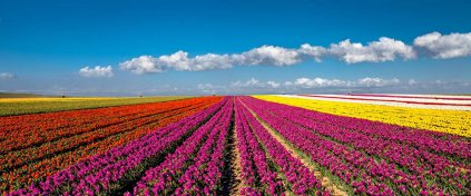 Yeni Nesil Tatil - Karnaval Tour - Otel ve Tur Rezervasyonu