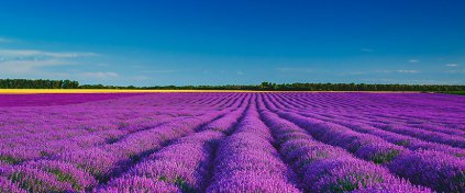 Yeni Nesil Tatil - Karnaval Tour - Otel ve Tur Rezervasyonu